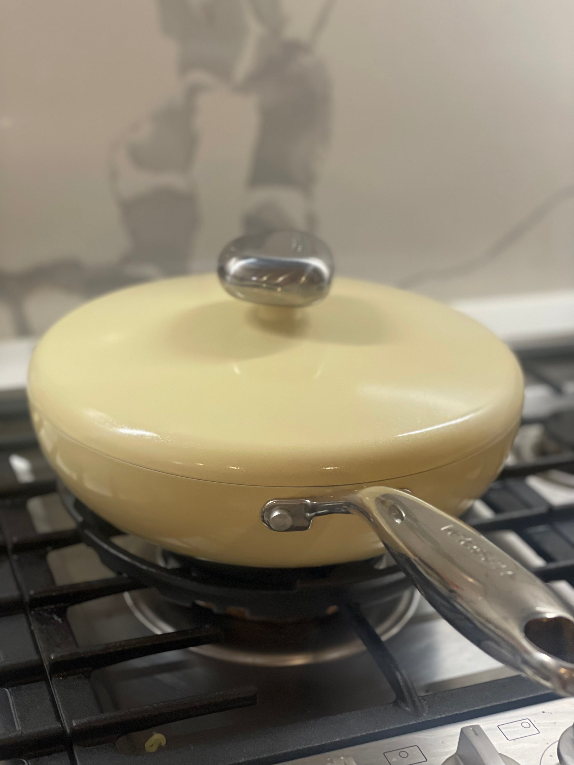 Velosan Pebble Serier Ceramic Nonstick 10''Fry Pan With Lid – VELOSAN